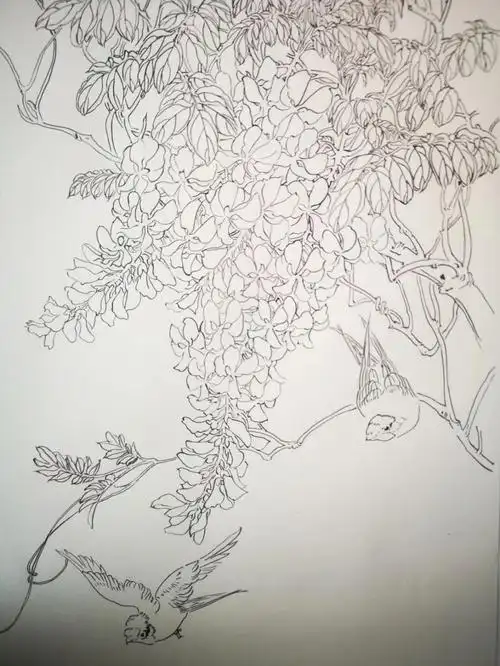 工笔画白描紫藤