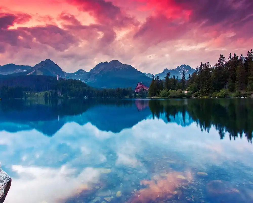 原始森林自然风光高清照片桌面壁纸 - 1280x1024 壁纸 下载