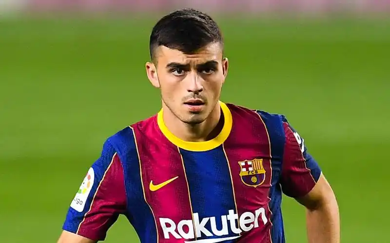 佩德里 巴萨超新星高光集锦