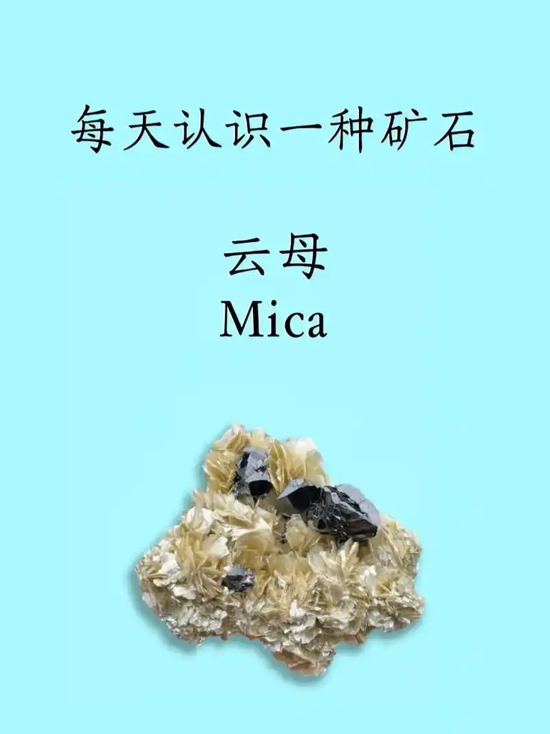 每天认识一种矿物7814.云母(mica),是一种造岩矿物,呈现 - 抖音