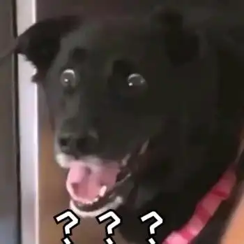 万分惊吓的狗子_万分_惊吓_狗子表情