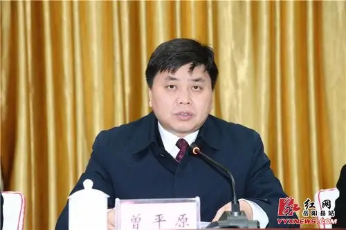 县委副书记,县长曾平原讲话