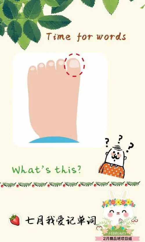 答案:toe