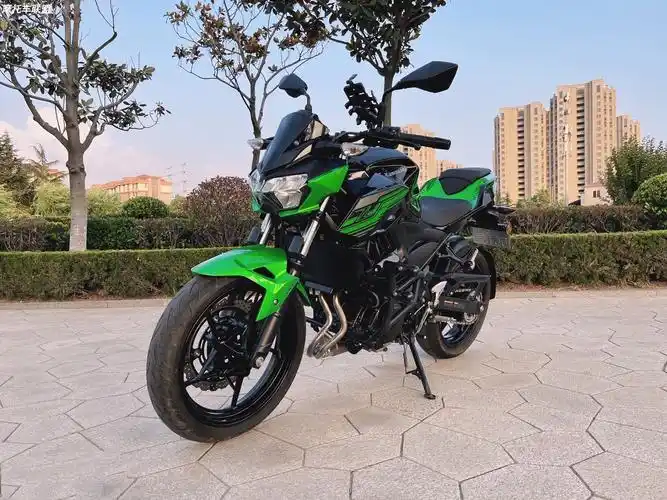 2019年大贸川崎z400