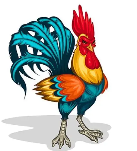 生肖鸡-酉鸡 什么月份出生的属鸡人运势较好?