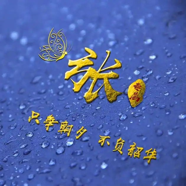 编号b02932张百家姓微信头像励志专属只争朝夕不负韶华