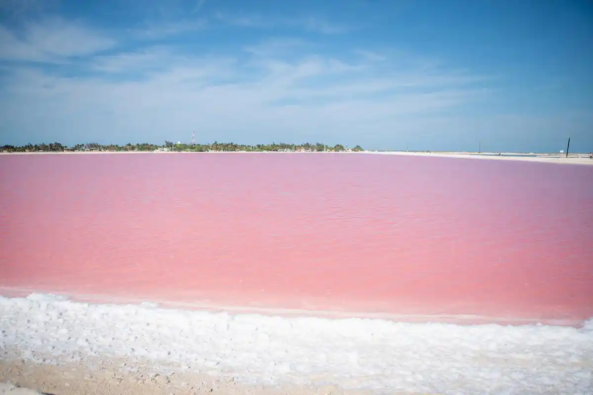 这个粉色的湖泊来自澳大利亚,位于珀斯以东约130公里的小岛上,名叫