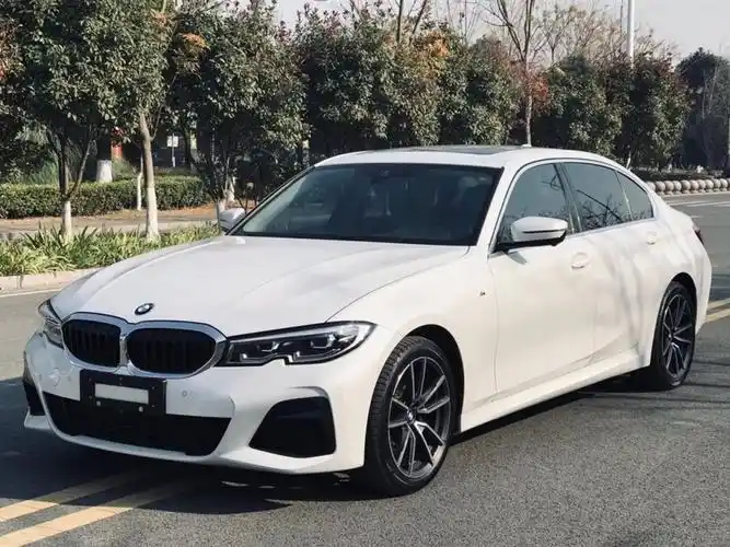 宝马 宝马3系 2020款 改款 325li 首发版图片