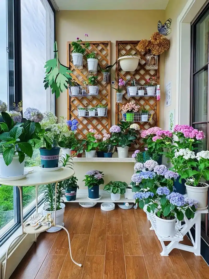 治愈系小阳台