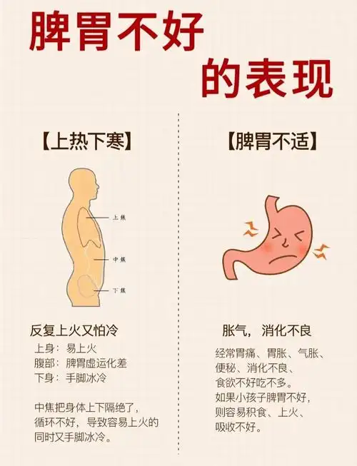 脾胃不好的症状