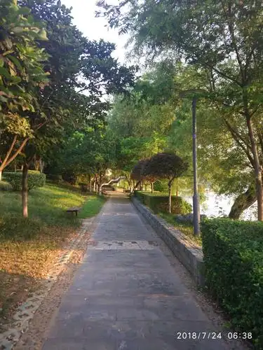 早晨天鹅湖公园随拍