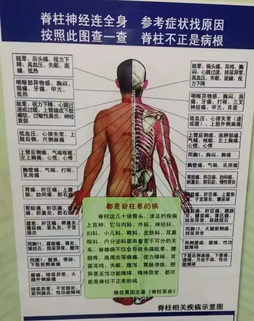 女性背部反射区图解 女性背部反射区图解后背和腰部疼痛