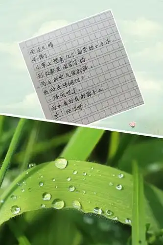 朱安泽同学的《雨过天晴》