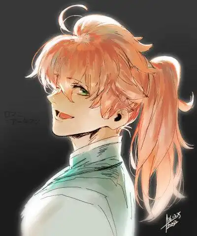 fate fgo 罗马尼阿基曼 罗曼医生