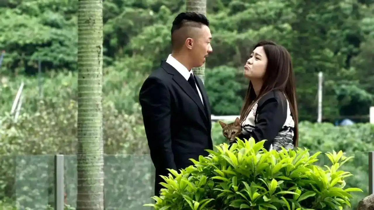 夸世代七妹最后会不会变四嫂我押一包辣条说会