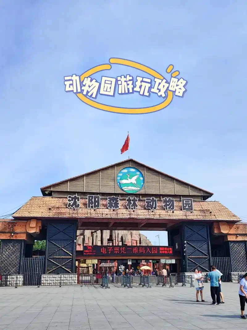 沈阳森林动物园游玩攻略.#秋冬生活图鉴 沈阳森林动物园好好玩 - 抖音