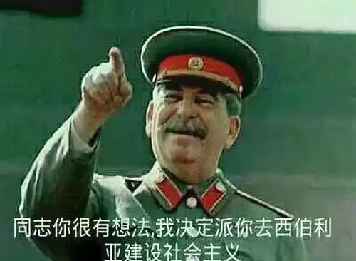 派你去西伯利亚建设什么梗