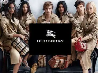 burberry 博柏利 棕色纯皮单肩包