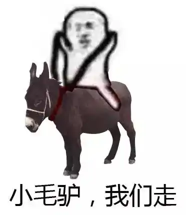 天津美院大学生牵驴徒步返校,如假包换真"驴友"