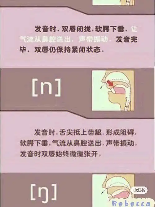 国际音标发音口型音标学习资料合集