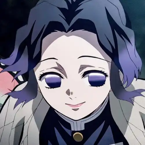 像烟花般短暂」蝴蝶忍 〖自截修