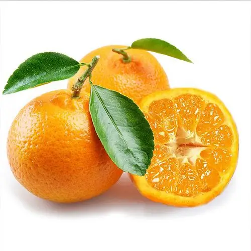 神台山周坊椪柑(71mm以上贡品果)5kg装