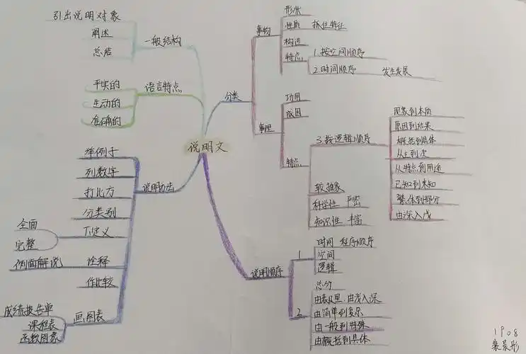 巧用思维导图,助力说明文教学