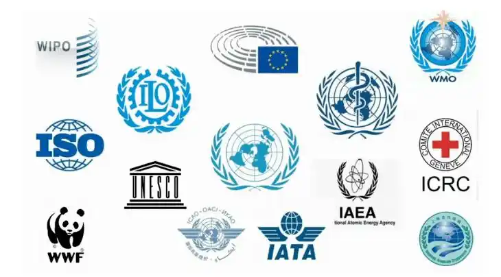 国际组织第四届嘉陵之子国际组织人才训练营招募学员ing