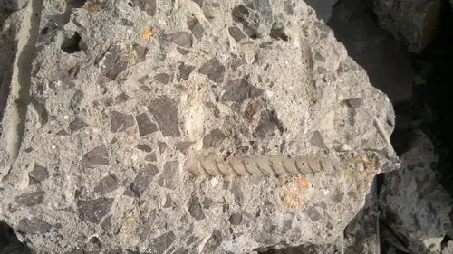 看看混凝土断面及钢筋的握裹