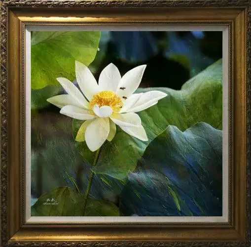 荷花季(1)油画荷花