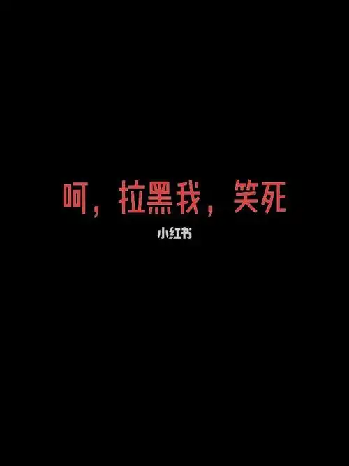 拉黑这两个字从没有再我的字典里出现过