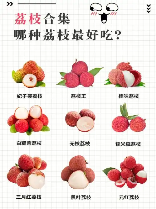 同样是荔枝口感和甜度都有什么不同