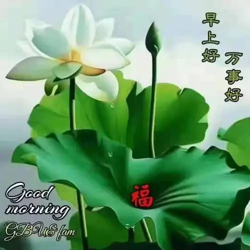 早上好!ljl - 美篇