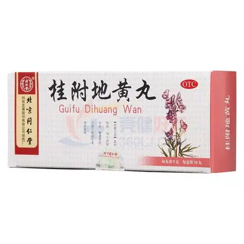 北京同仁堂 桂附地黄丸 9g*10丸