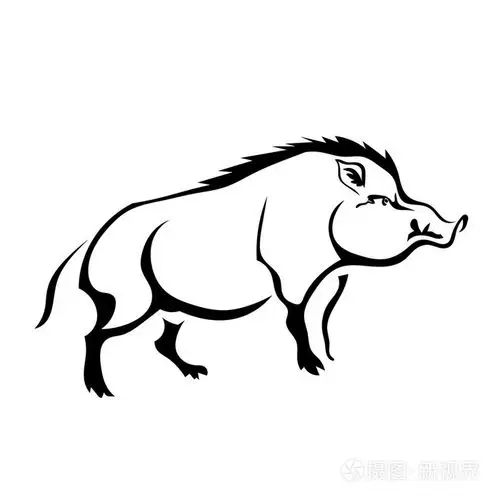 白色背景上的黑色剪影野猪.隔离.矢量