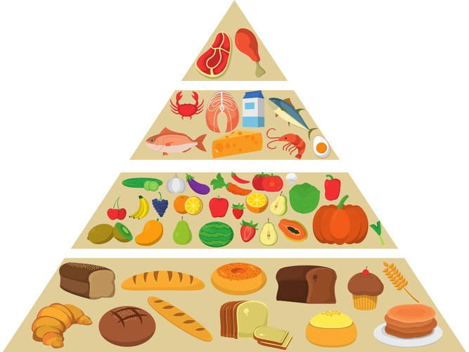 健康饮食通常需要保持食物营养均衡,保证良好的饮食习惯.