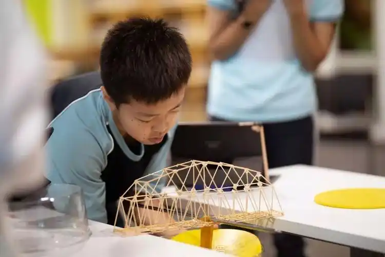 immersion课堂stem提高核心竞争力的跨学科课程