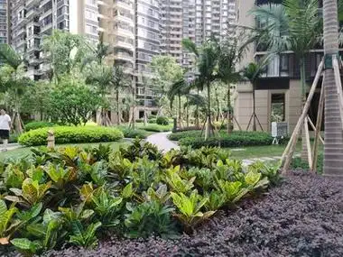 澜月府小区图片相册,南宁澜月府实景图,室外图,小区配套图-南宁安居客