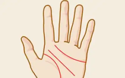 女人川字掌纹的命运 女人川字纹手相