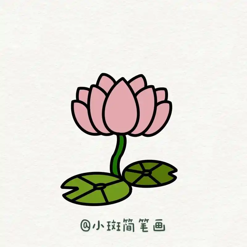荷花简笔画教程.一起来画荷花吧#荷花简笔画 #零基础学画画 - 抖音