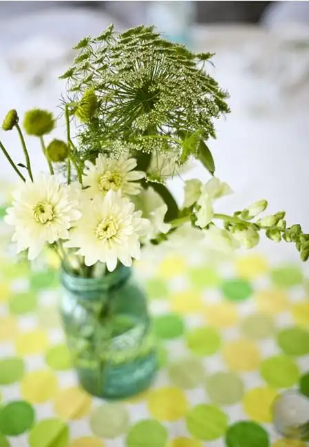 清新的白菊插花