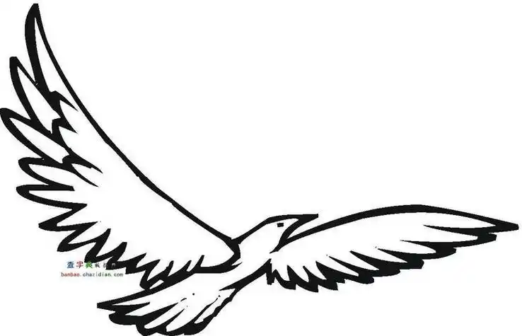 飞翔雏鹰简笔画
