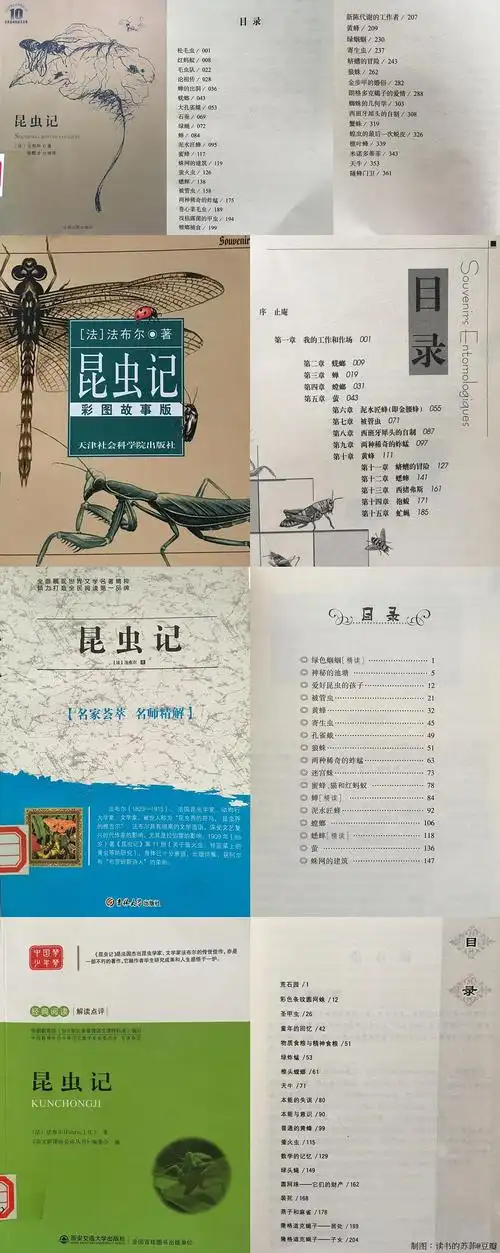 四种版本《昆虫记》的目录