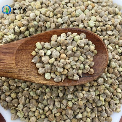 菠菜菜子珈祁菜籽500克菠薐中药材其他药食同源食品