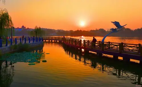 晨游青年湖 - 菏泽拍客 - 大众论坛 - powered by discuz!