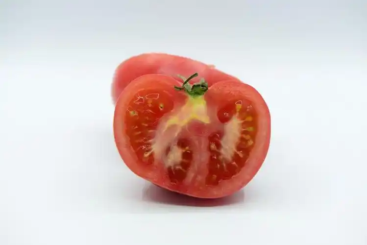 图1 番茄剖面 图源:朱鑫鑫.jpg