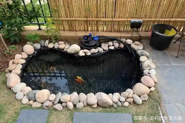 自建鱼池,你也可以做到