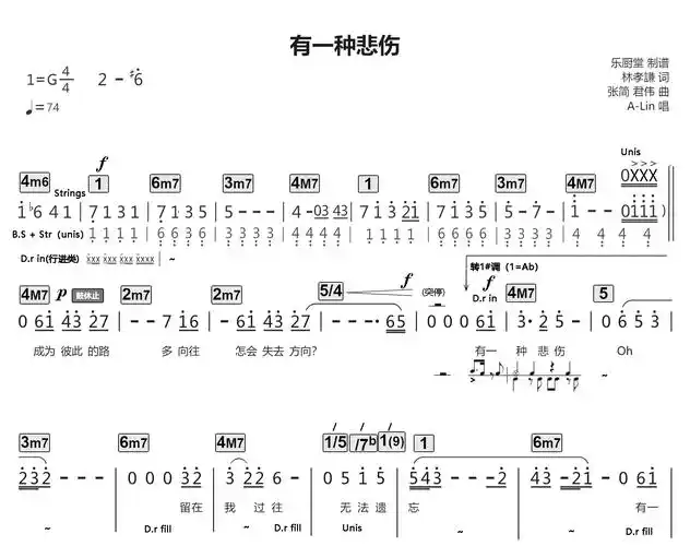 《有一种悲伤 标准乐队伴奏总谱》吉他谱