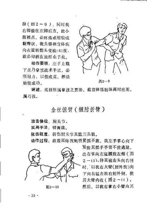 中国传统擒拿36式