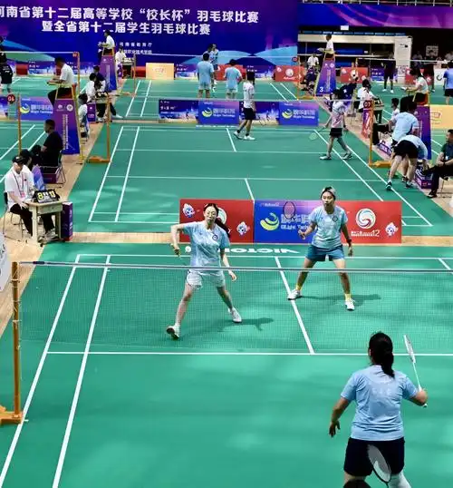 我校羽毛球代表队在河南省第十二届学生羽毛球比赛中再创佳绩
